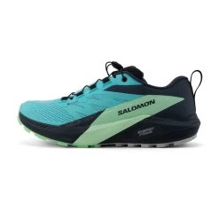Salomon Sense Ride 5 GTX Femme